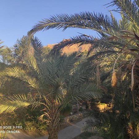 Bar Suite Ein Gedi Exterior photo
